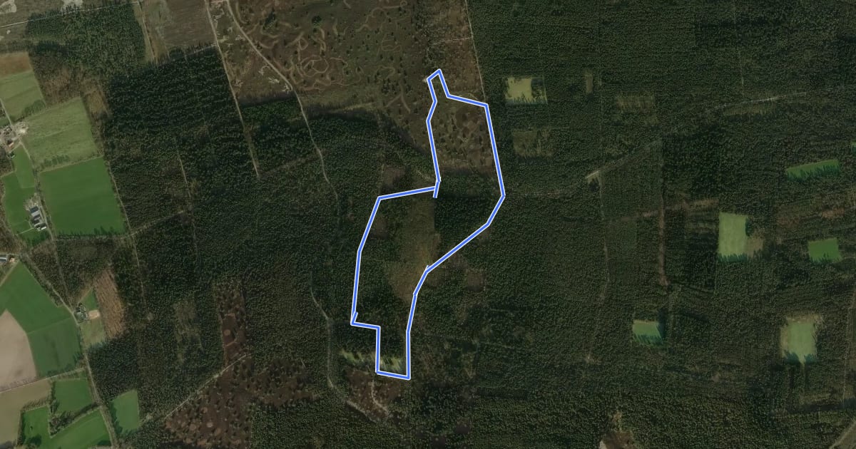 Маршрут WNW Twente Dagrecr. H'berg - oranje route на спутниковом снимке