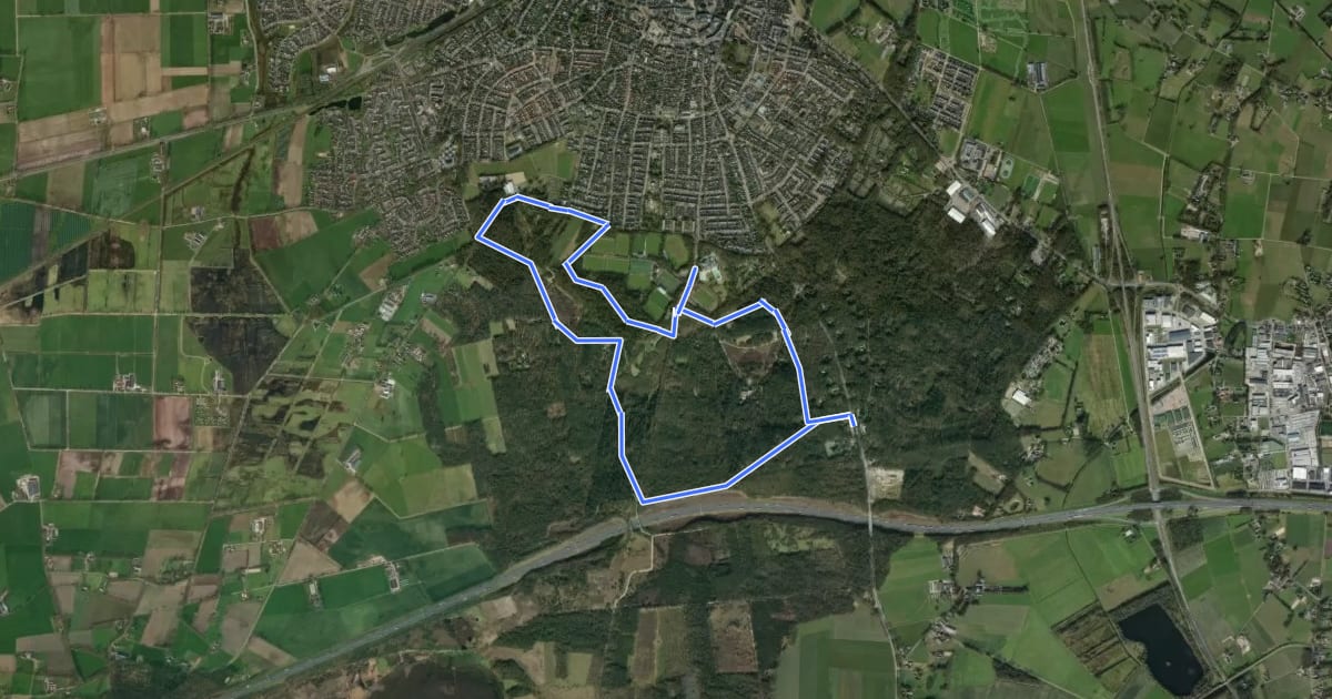 Маршрут WNW Twente - De Welle/Klein-Zwitserland/Koerbelt - blauwe route на спутниковом снимке