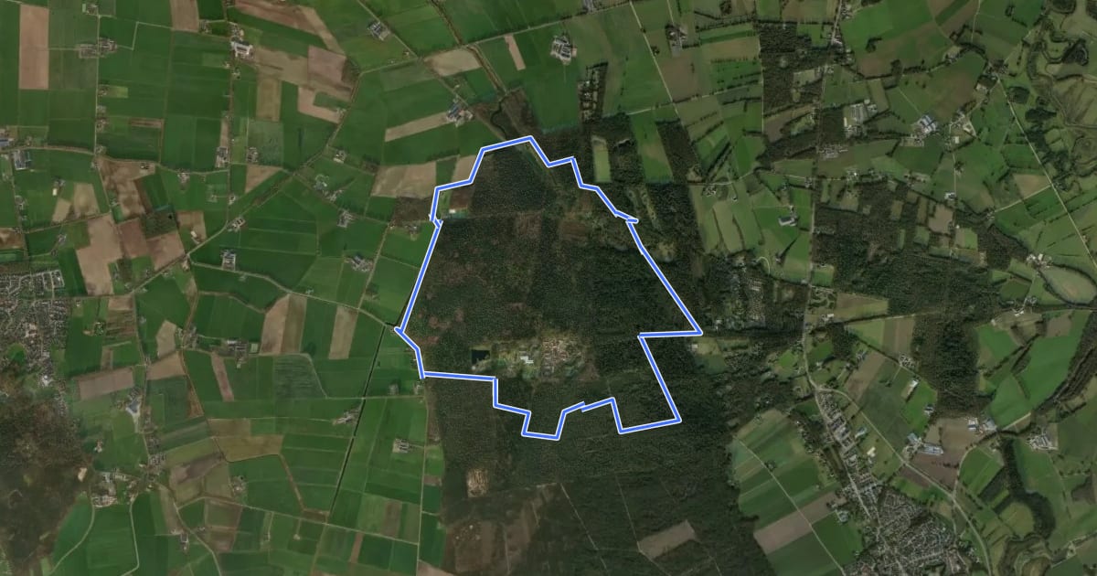 Маршрут WNW Twente - Eelerberg - paarse route на спутниковом снимке