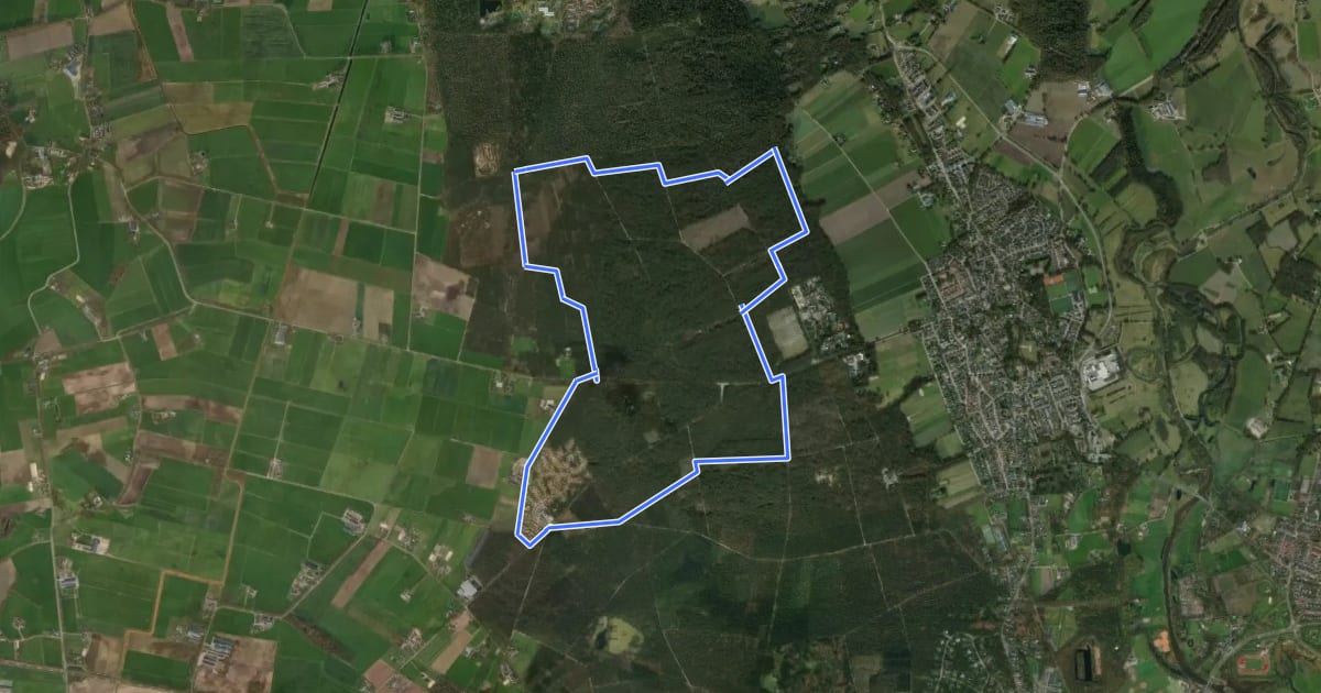 Маршрут WNW Twente - Hellendoornseberg - groene route на спутниковом снимке