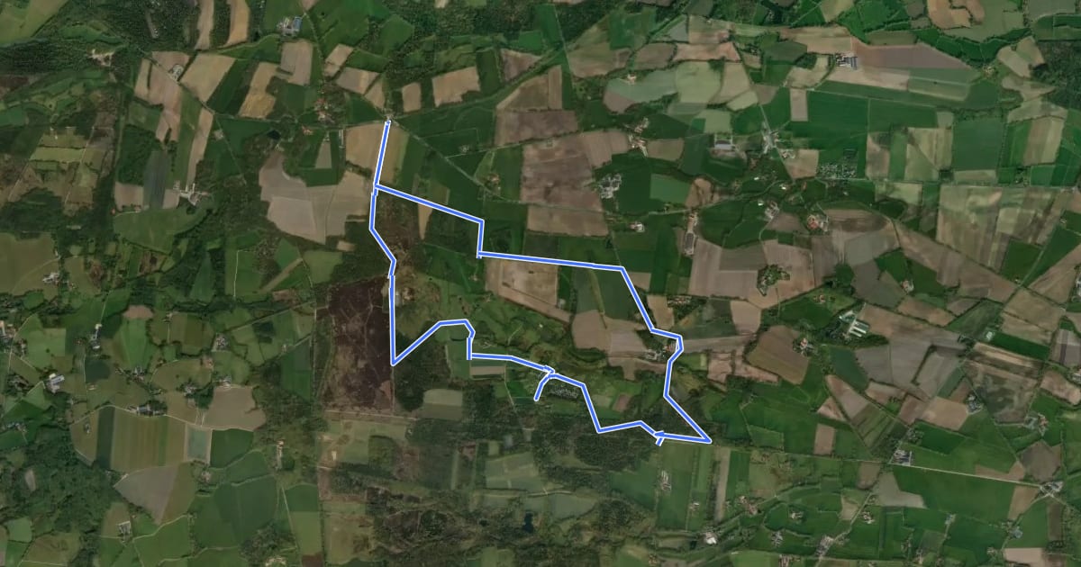 Маршрут WNW Twente - Hesingen/Hezingerveld/Springendal - blauwe route на спутниковом снимке