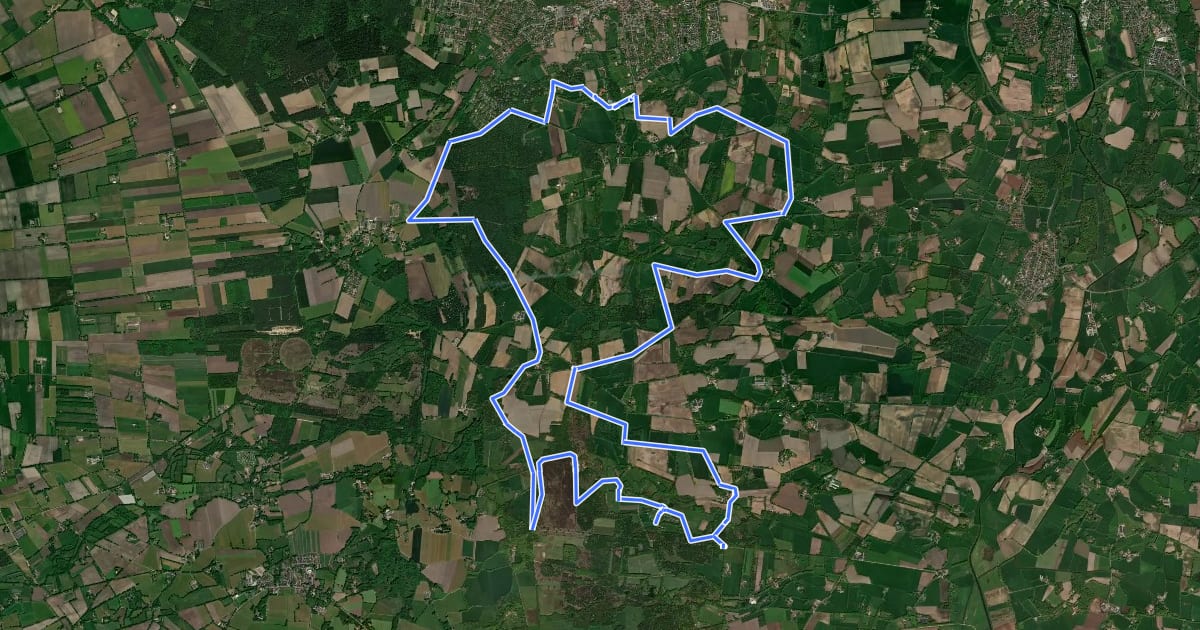 Маршрут WNW Twente Hesingen/Hezingerveld/Springendal/Uelsen - paarse route на спутниковом снимке