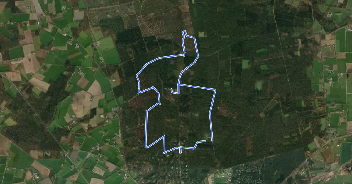 Маршрут WNW Twente - Holterberg/Dagrecreatieterrein - gele route на спутниковом снимке
