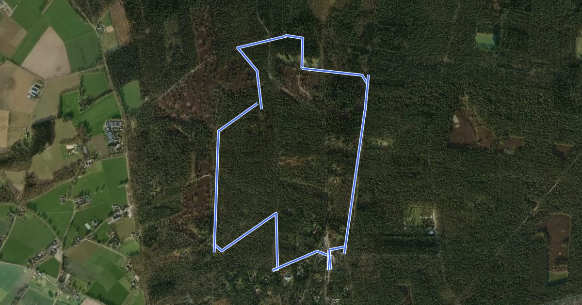 Маршрут WNW Twente - Holterberg/Dagrecreatieterrein - groene route на спутниковом снимке
