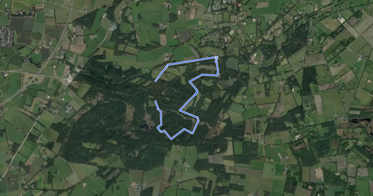 Маршрут WNW Twente - Lankheet - blauwe route на спутниковом снимке