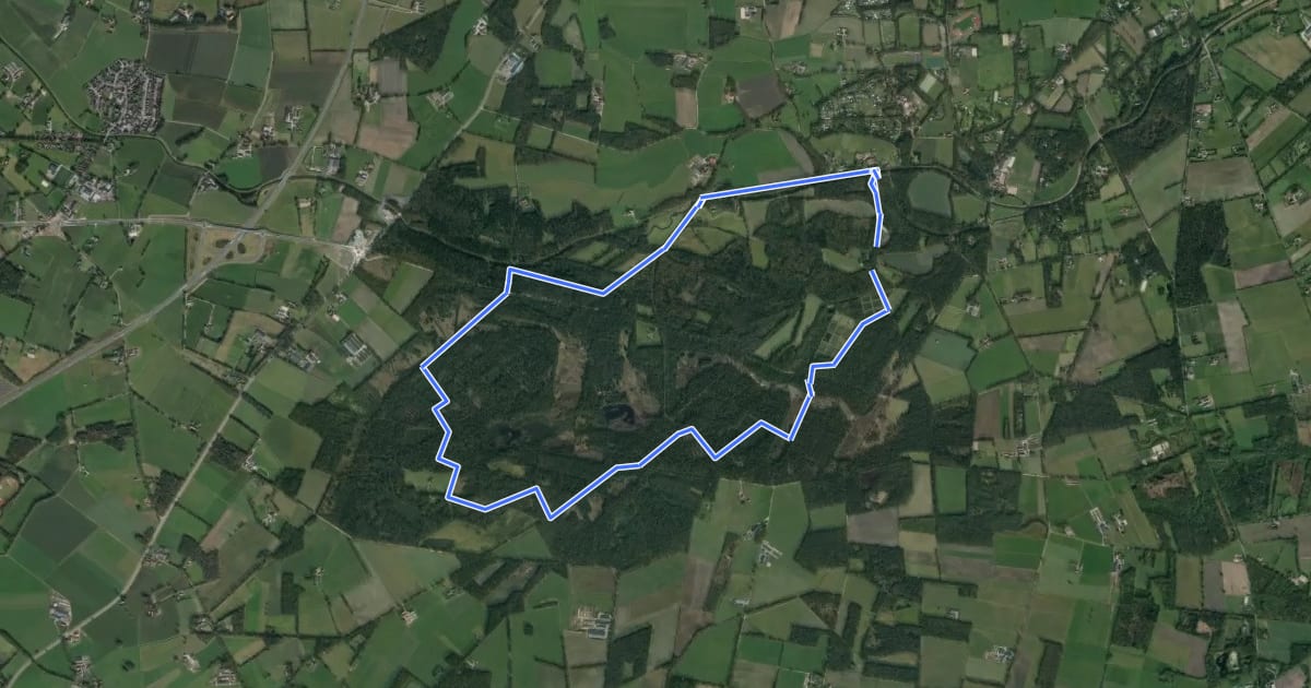 Маршрут WNW Twente - Lankheet - groene route на спутниковом снимке