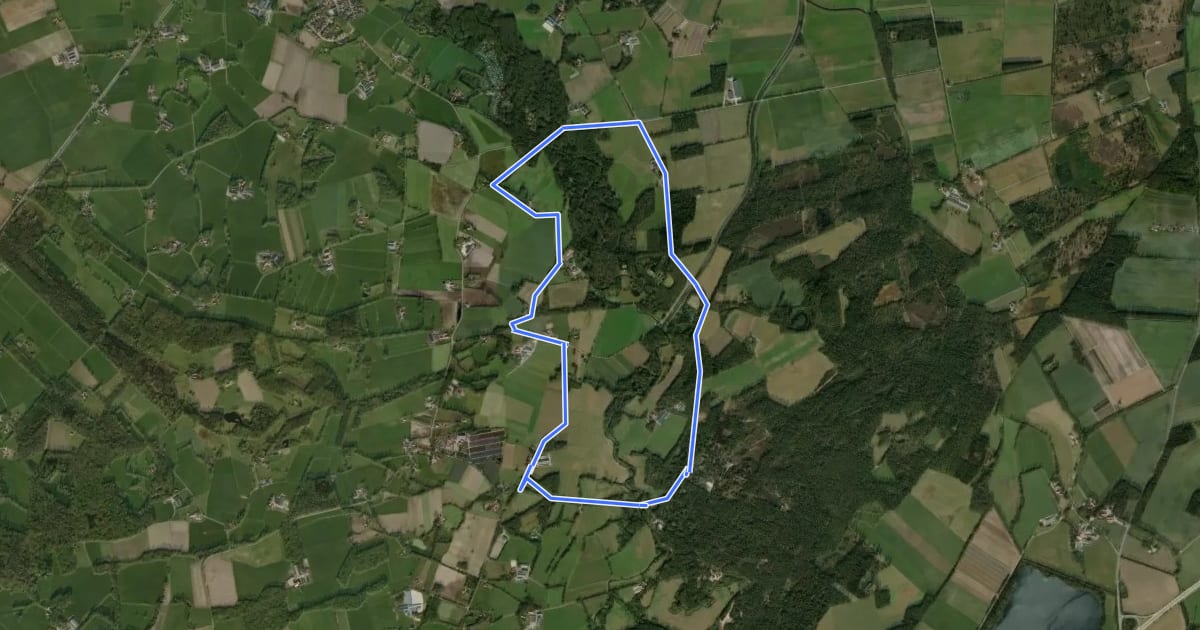 Маршрут WNW Twente - Lutterzand/Meuleman - groene route на спутниковом снимке