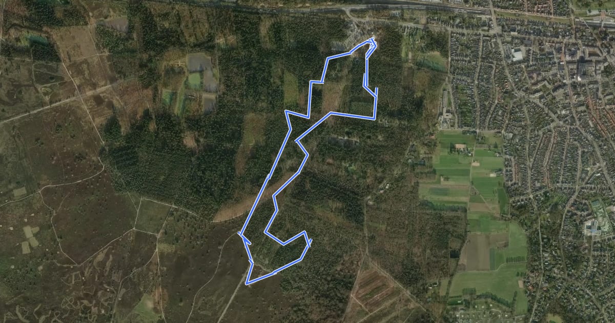 Маршрут WNW Twente - Sallandse Heuvelrug - blauwe route на спутниковом снимке