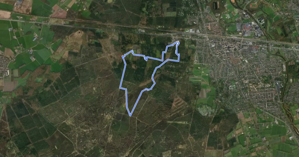 Маршрут WNW Twente - Sallandse Heuvelrug - groene route на спутниковом снимке