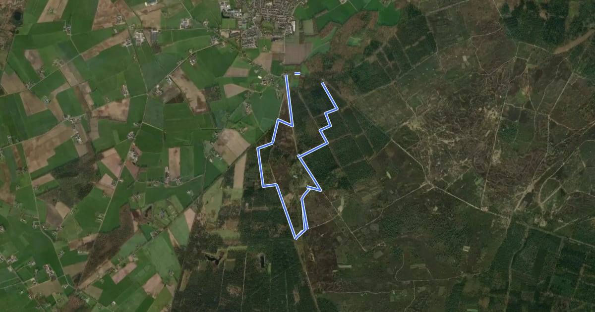 Маршрут WNW Twente - Sprengenberg - oranje route на спутниковом снимке