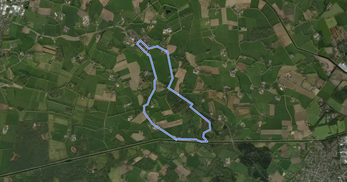 Маршрут WNW Twente - Tilligte - groene route на спутниковом снимке