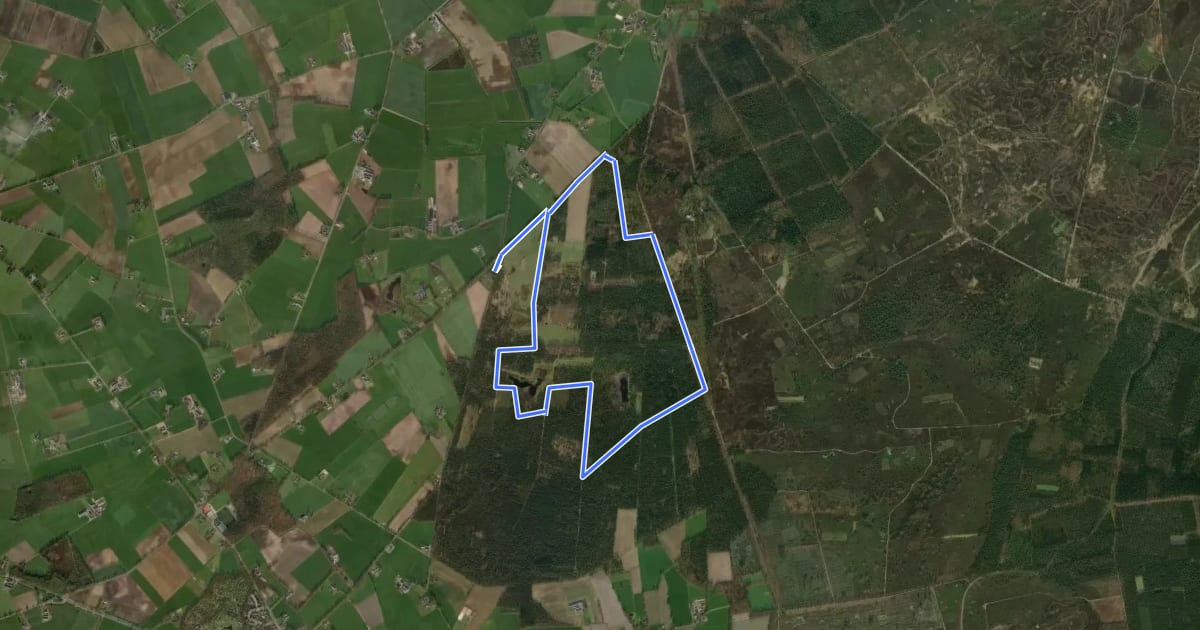 Маршрут WNW Twente - Zuidbroek - gele route на спутниковом снимке