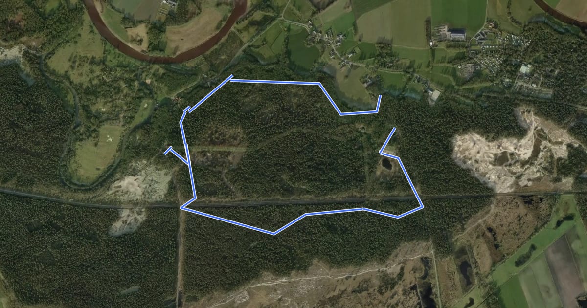 Маршрут WNW Vechtdal - Beerzerpoort/Beerzerzand -blauwe route на спутниковом снимке