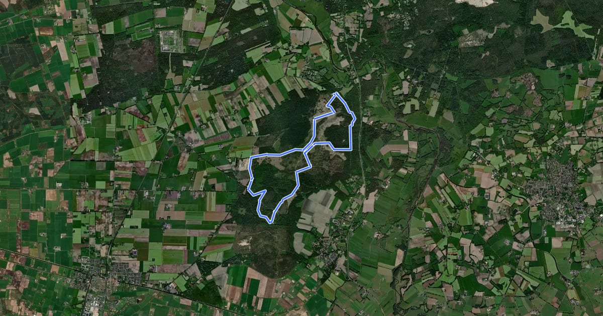 Маршрут WNW Vechtdal - Dalmsholte/Giethmen/Lemelerberg - blauwe route на спутниковом снимке