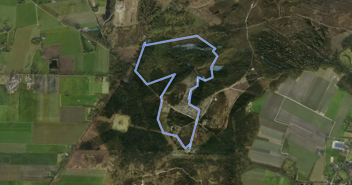 Маршрут WNW Vechtdal - Dalmsholte/Lemelerberg - oranje route на спутниковом снимке