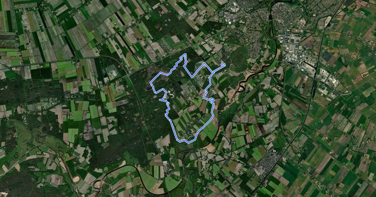 Маршрут WNW Vechtdal - De Oldemeijer/Rheeze/Rheezerbelten - gele route на спутниковом снимке
