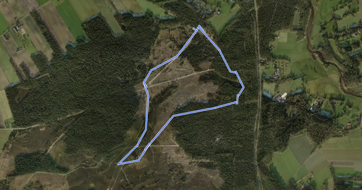 Маршрут WNW Vechtdal - Giethmen - rode route на спутниковом снимке
