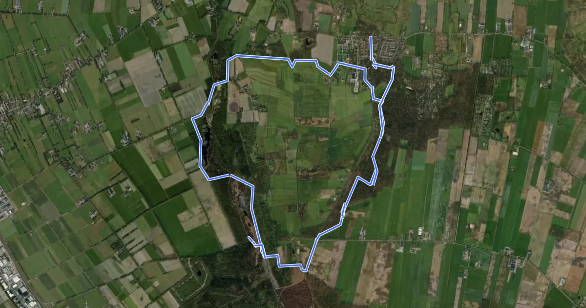 Маршрут WNW Vechtdal - IJhorst/Witte Bergen/Zwarte Venen - gele route на спутниковом снимке