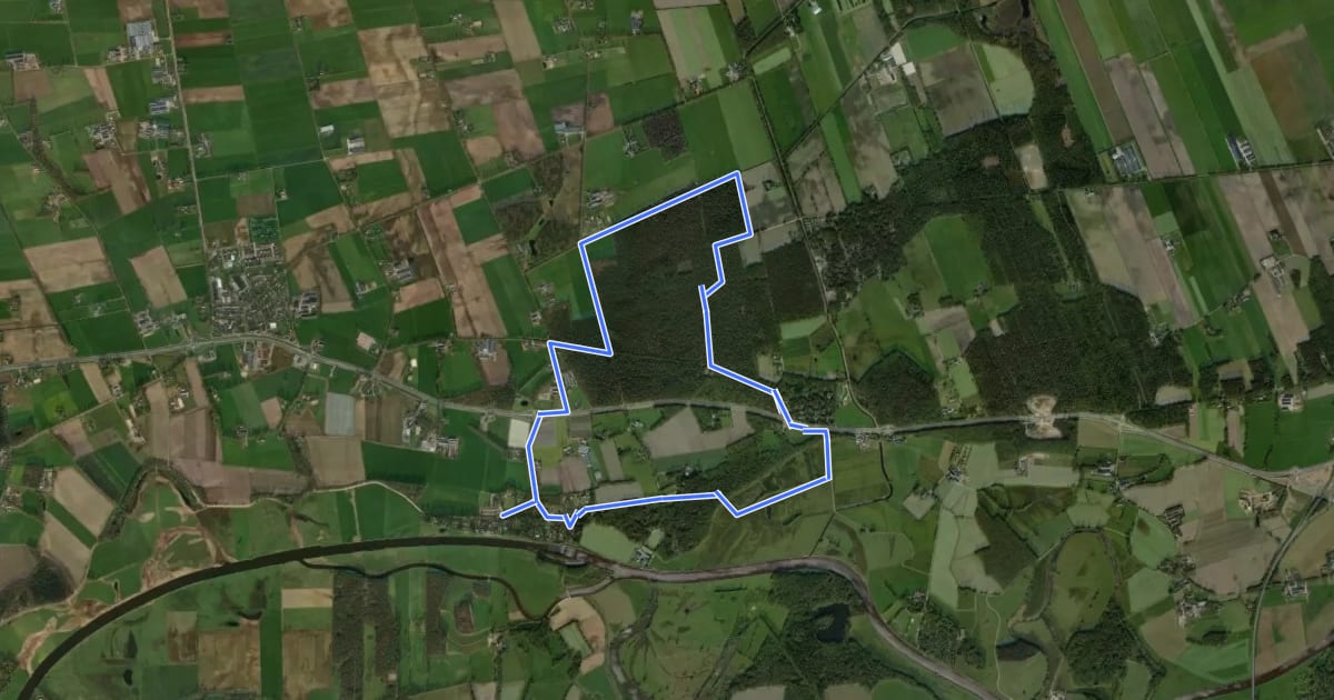 Маршрут WNW Vechtdal - Oude Oever - rode route на спутниковом снимке