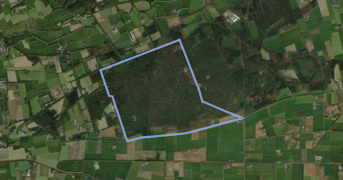 Маршрут WNW Vechtdal - Sterrenbosch - groene route на спутниковом снимке