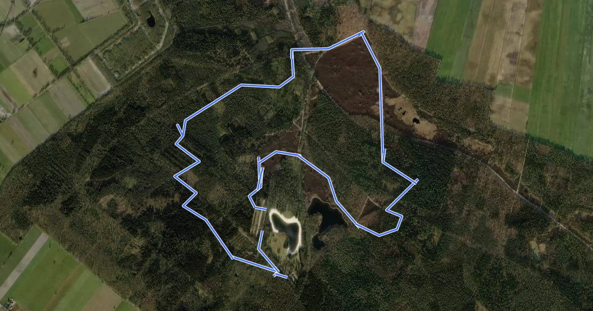 Маршрут WNW Vechtdal - Zwarte Dennen-Noord/Zwarte Dennen-Zuid - blauwe route на спутниковом снимке