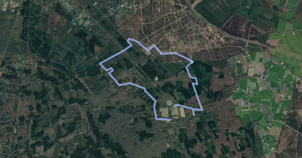 Маршрут WNW Veluwe - Drieseberg - paarse route на спутниковом снимке