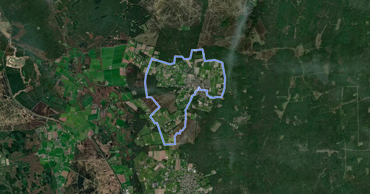 Маршрут WNW Veluwe - Elspeet - gele route на спутниковом снимке