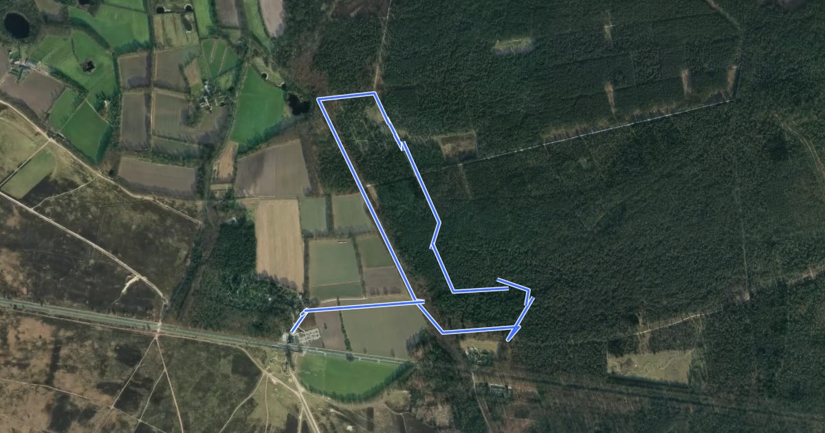 Маршрут WNW Veluwe -Ginkel - groene route на спутниковом снимке
