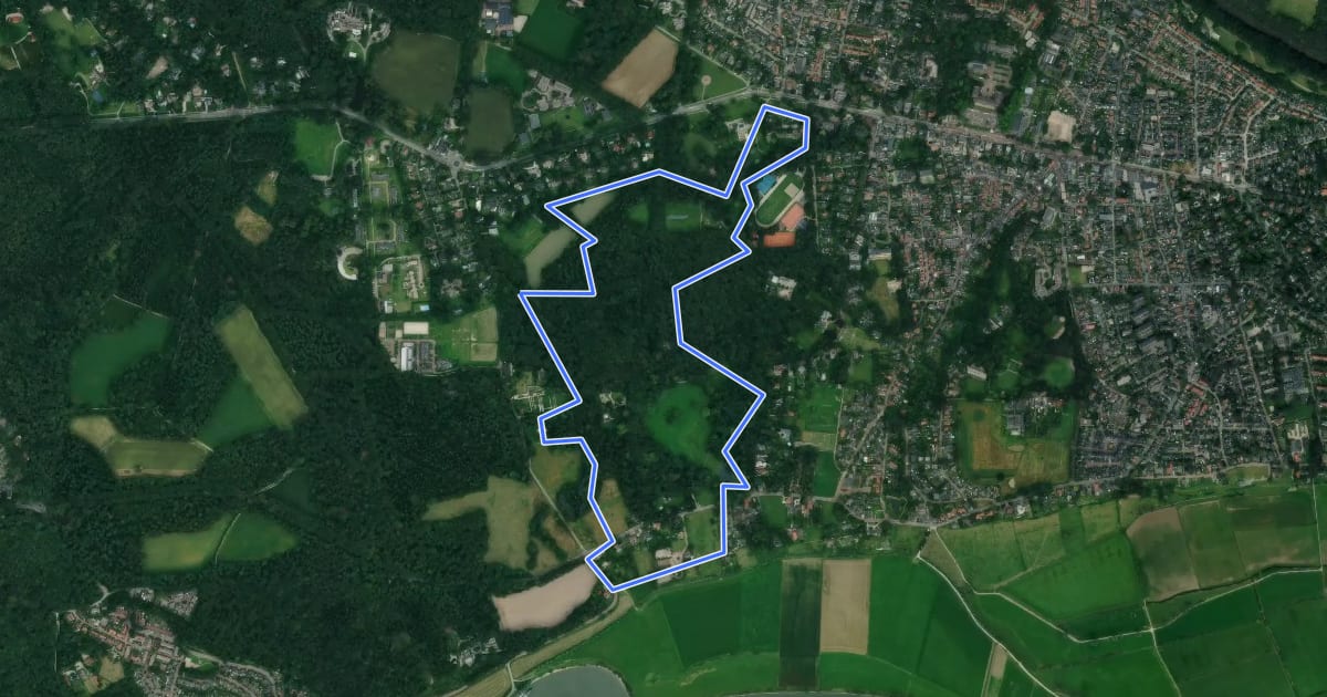 Маршрут WNW Veluwe - Hartenstein - groene route на спутниковом снимке