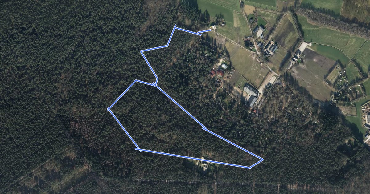 Маршрут WNW Veluwe - Jutberg - rode route на спутниковом снимке