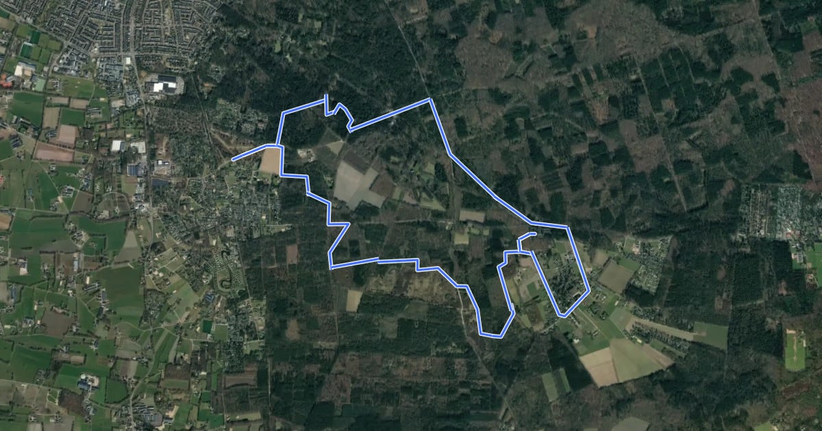 Маршрут WNW Veluwe - Kolthoorn/Krachtighuizerheide - groene route на спутниковом снимке