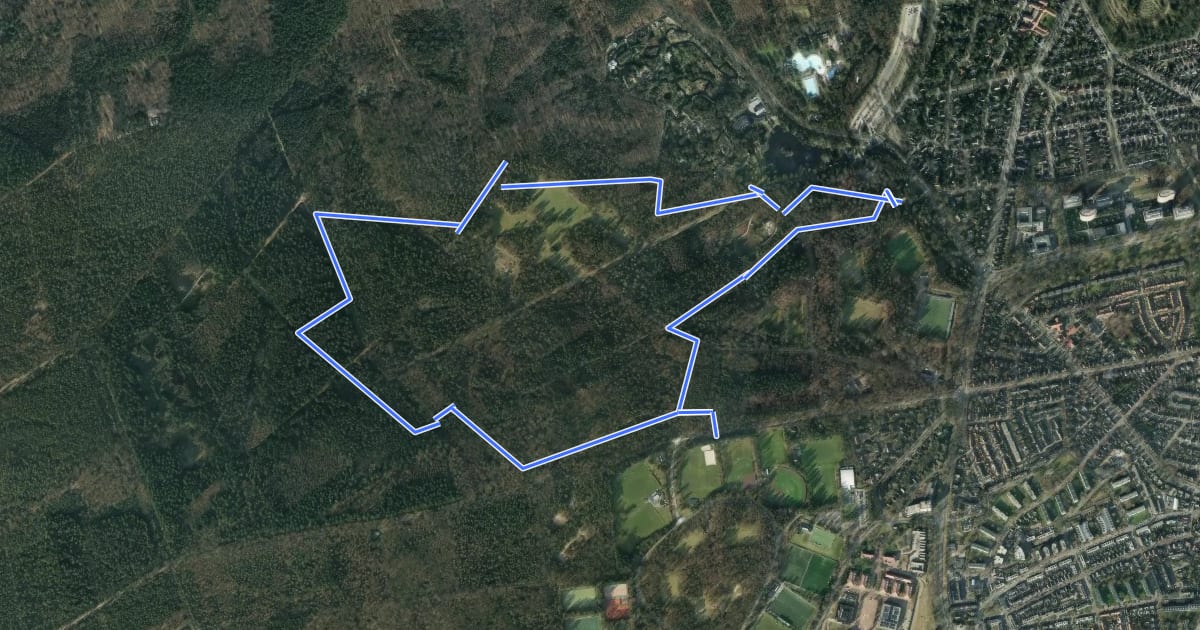 Маршрут WNW Veluwe - Natuurpark Berg en Bos - groene route на спутниковом снимке