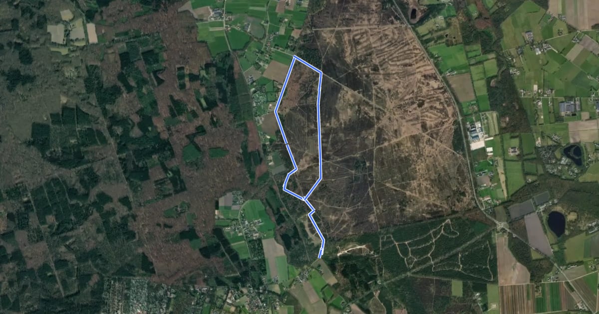 Маршрут WNW Veluwe - Speulderveld/Houtdorperveld - rode route на спутниковом снимке