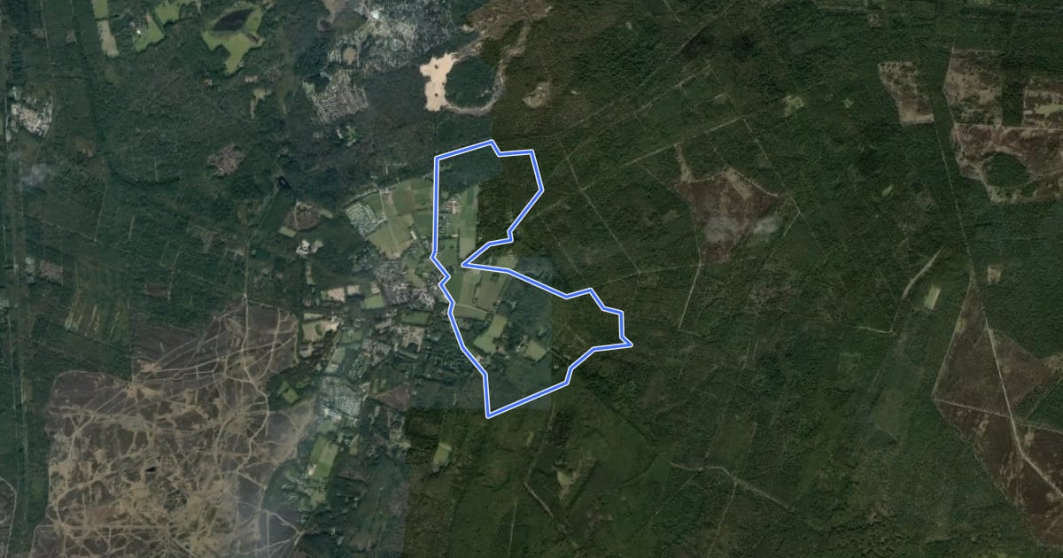 Маршрут WNW Veluwe - Vierhouterbos - paarse route на спутниковом снимке