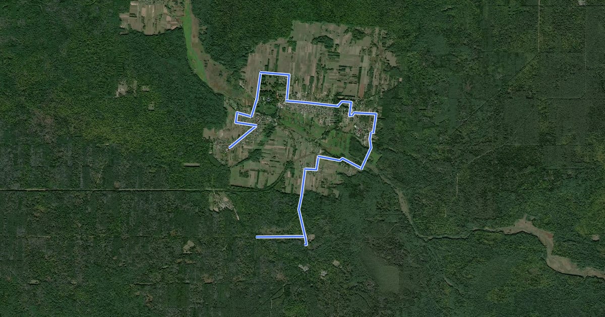 Маршрут Wokół Białowieży i Polany Białowieskiej на спутниковом снимке