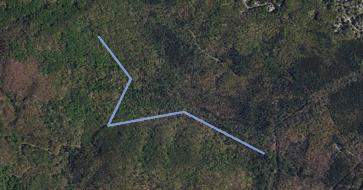 Маршрут Wolf Branch Trail на спутниковом снимке