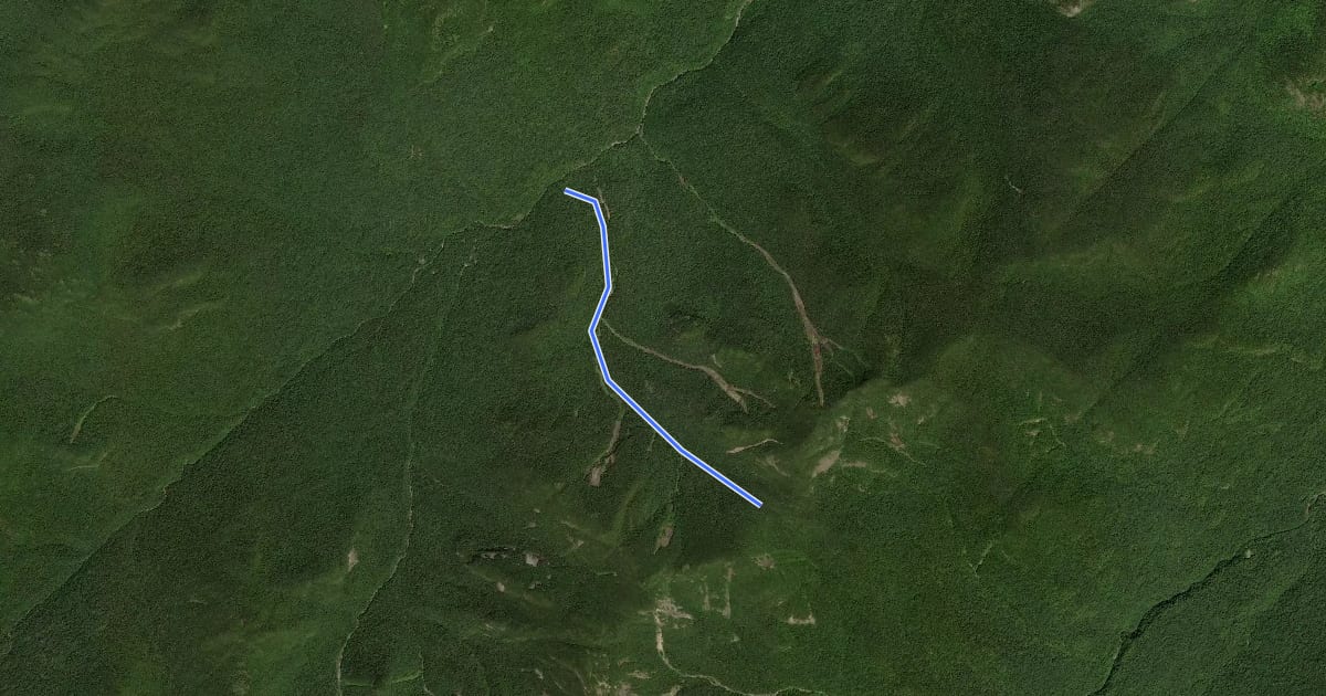 Маршрут Wolf Jaw Trail на спутниковом снимке