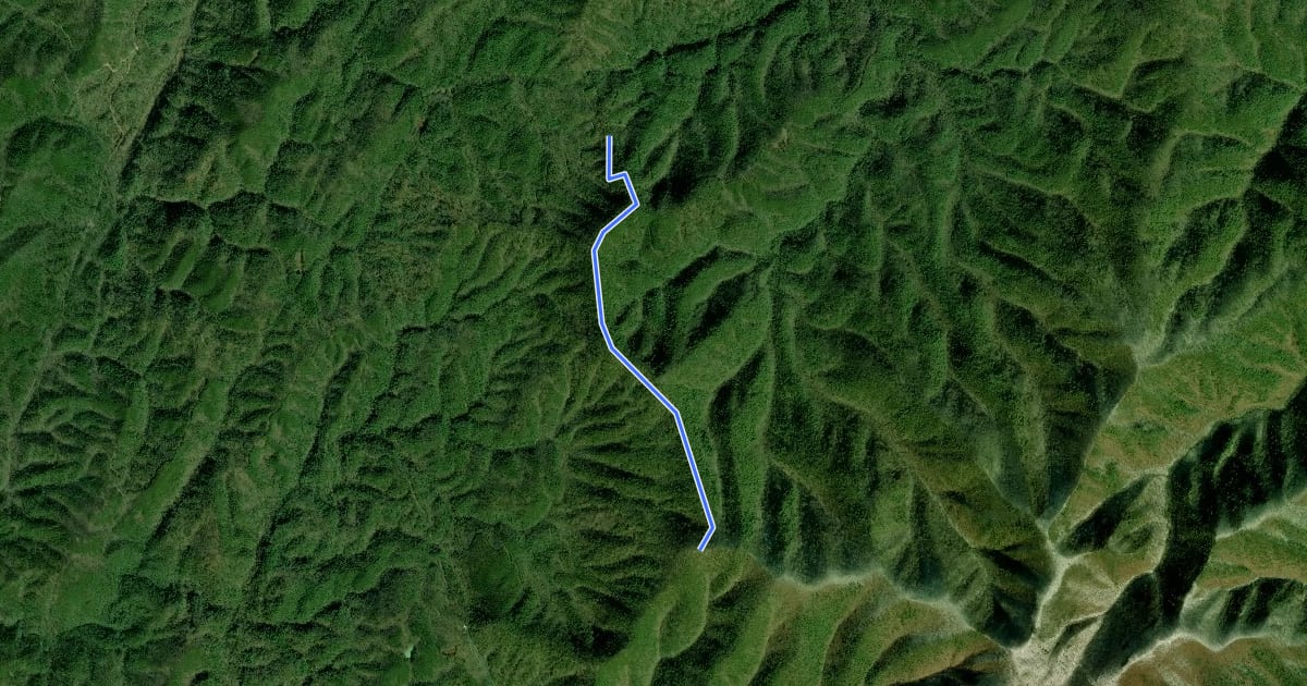 Маршрут Wolf Ridge на спутниковом снимке