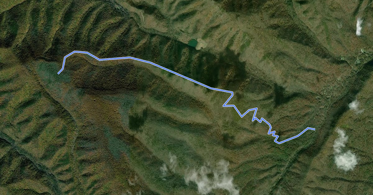 Маршрут Wolf Ridge Trail на спутниковом снимке