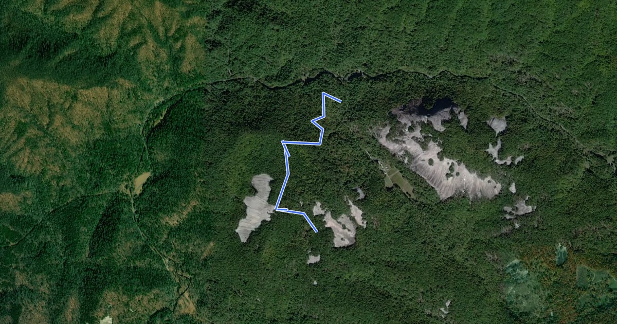 Маршрут Wolf Rock Trail на спутниковом снимке