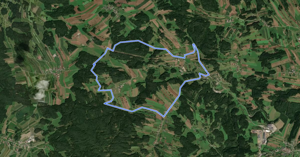 Маршрут Wolfauweg 8 на спутниковом снимке