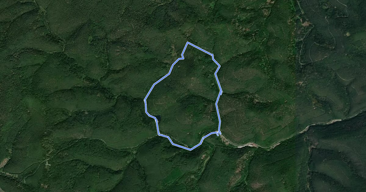 Маршрут Wolfental на спутниковом снимке