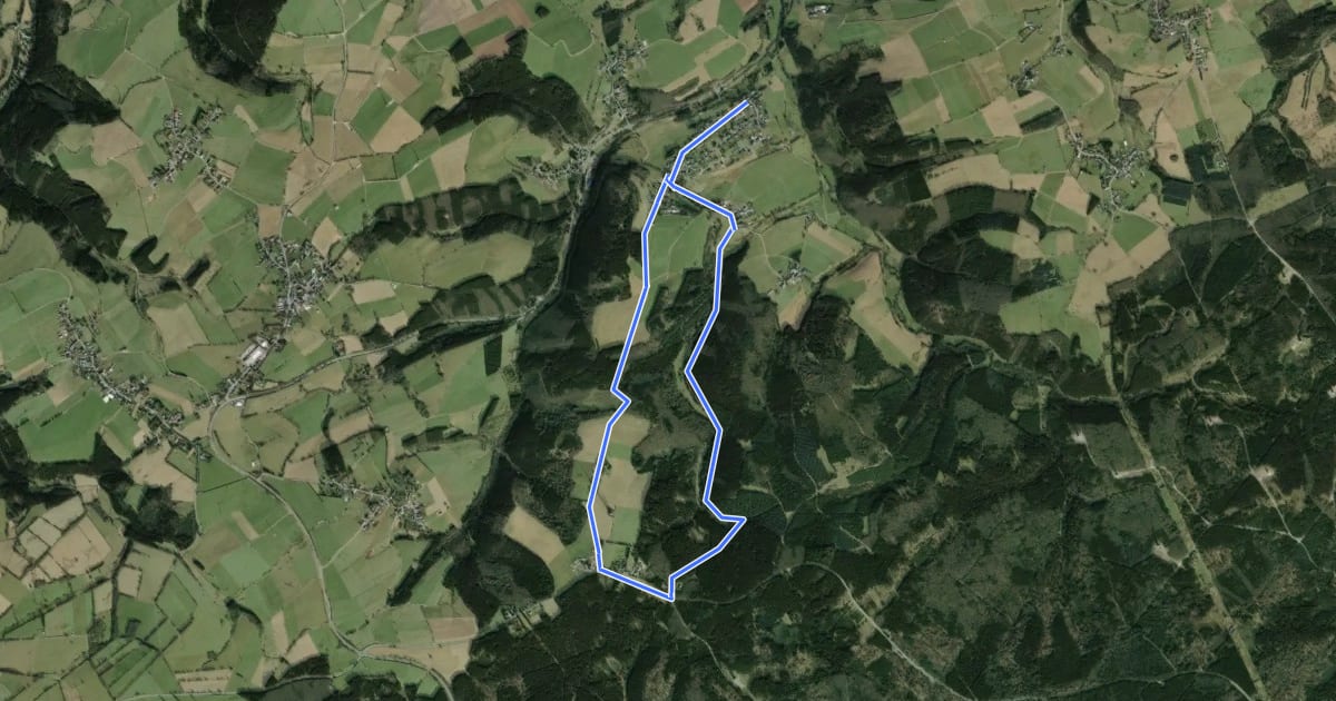 Маршрут Wolfert Rundweg 3 на спутниковом снимке