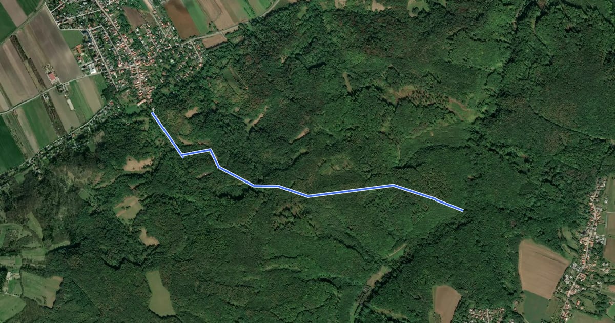 Маршрут Wolfpassing - Hagenbachklamm Süd на спутниковом снимке