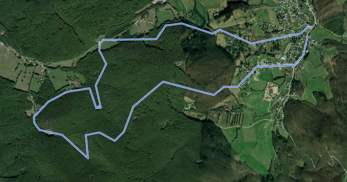 Маршрут Wolfsgraben - Dreikohlstätten - Engelkreuz - Fellinggraben Rundwanderweg на спутниковом снимке