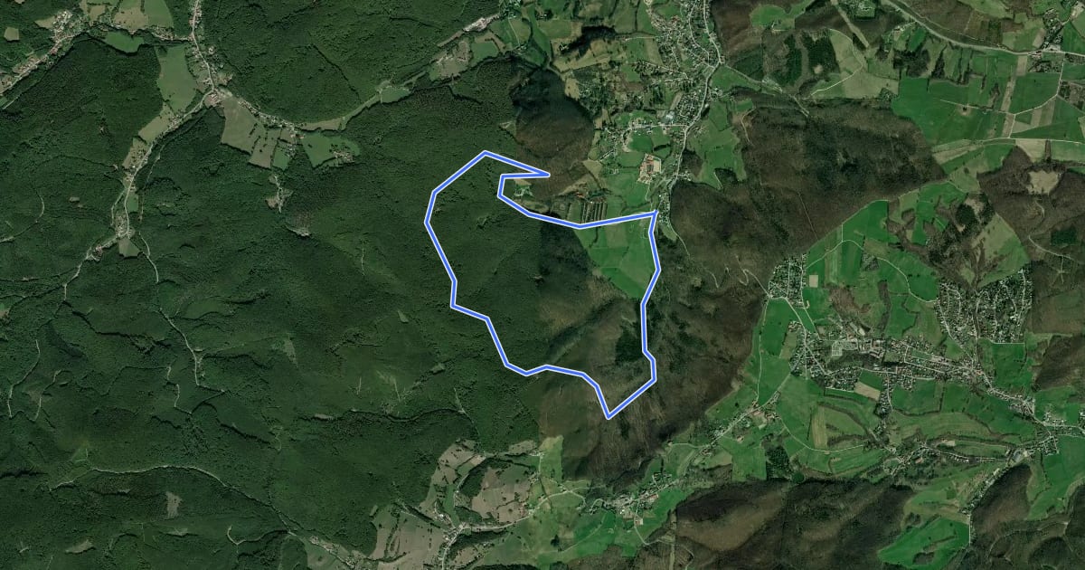 Маршрут Wolfsgrabenbachtal - Drei Berge Rundwanderweg на спутниковом снимке