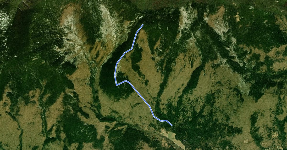 Маршрут Wonalacent Range Trail на спутниковом снимке