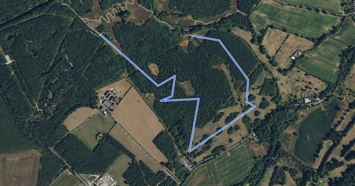 Маршрут Wood Farm Trail на спутниковом снимке