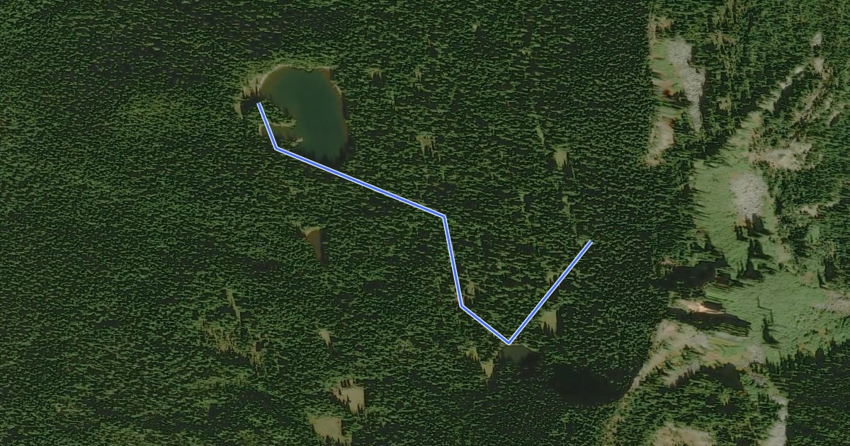 Маршрут Wood Lake Trail #185 на спутниковом снимке