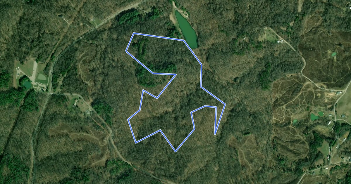 Маршрут Wood Thrush Loop Trail на спутниковом снимке